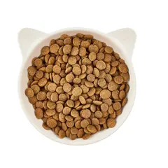 WOW Cat Adult Chicken with Catnip  - Суха храна за котки с пиле - 2 кг