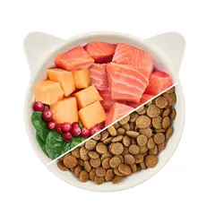 WOW Cat Adult Salmon with Cranberries - Суха храна за котки със сьомга и червени боровинки - 325 г