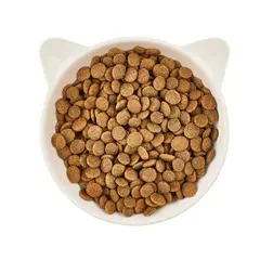 WOW Cat Adult Salmon with Cranberries - Суха храна за котки със сьомга и червени боровинки - 325 г
