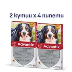 Bayer Advantix Spot On 40-60 кг - 2 КУТИИ х 4 ПИПЕТИ