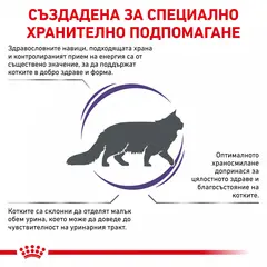 Royal Canin Adult Cat - храна за котки в зряла възраст
