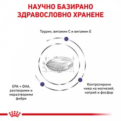 Royal Canin Adult Cat - храна за котки в зряла възраст