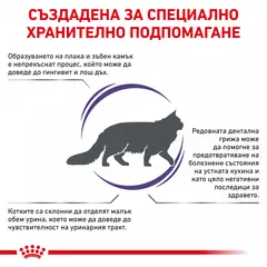 Royal Canin Dental - лечебна храна за котки с детнална чувствителност 1.5 кг.