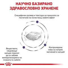 Royal Canin Dental Small Dog - лечебна  храна за кучета от дребни породи, намаляваща образуването на зъбен камък - 1,5 кг