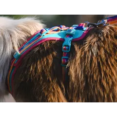 FreeDog Peak Harness Montse – охлаждащ нагръдник за кучета