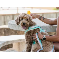 FreeDog Peak Leash Sierra – регулируем повод за кучета