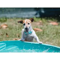 FreeDog Peak Leash Sierra – регулируем повод за кучета