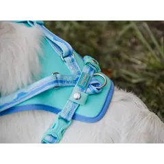 Peak Harness Pedra – охлаждащ нагръдник за кучета