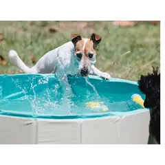 Freedog Non-Slip Pool - Басейн за кучета
