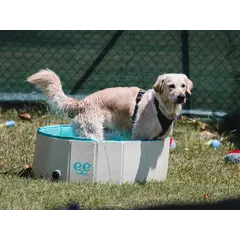 Freedog Non-Slip Pool - Басейн за кучета