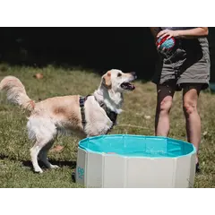 Freedog Non-Slip Pool - Басейн за кучета