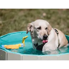 Freedog Non-Slip Pool - Басейн за кучета