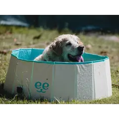 Freedog Non-Slip Pool - Басейн за кучета