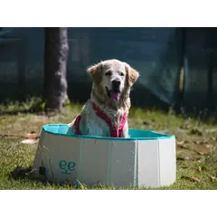 Freedog Non-Slip Pool - Басейн за кучета