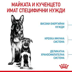 Royal Canin Maxi Starter - суха храна за подрастващи кучета