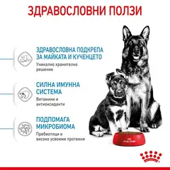 Royal Canin Maxi Starter - суха храна за подрастващи кучета