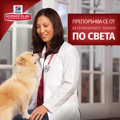 Hill’s Science Plan PERFECT DIGESTION  Small&Mini Adult Dog - Пълноценна суха храна за отлично храносмилане за кучета над 1 година от дребните породи (до 10 кг)  с пилешко и кафяв ориз -  3 кг