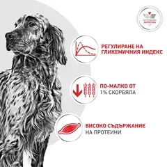 Royal Canin VHN Glycobalance Low Carbohydrate loaf - Диетична мокра храна за кучета за pегулиране нивата на кръвна захар (диабет) - консерва с пастет 410 г