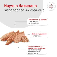 Royal Canin VHN Glycobalance Low Carbohydrate loaf - Диетична мокра храна за кучета за pегулиране нивата на кръвна захар (диабет) - консерва с пастет 410 г