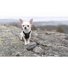 Hurtta Weekend Warrior ECO Harness Raven - Ергономичен нагръдник от еко материали, цвят черен