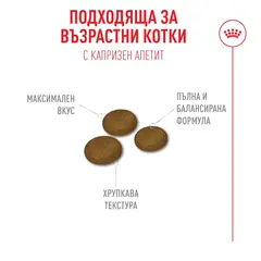 Royal Canin FHN Fussy Cat - Пълноценна суха храна за котки над 1 година с капризен апетит, 10 кг + ПОДАРЪК Sensory smell gravy 12x85g