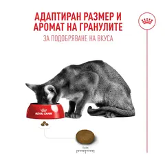 Royal Canin FHN Fussy Cat - Пълноценна суха храна за котки над 1 година с капризен апетит, 10 кг + ПОДАРЪК Sensory smell gravy 12x85g