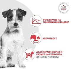 Royal Canin VHN Glycobalance Small Dog - Пълноценна диетична храна за кучета от дребни породи за pегулиране нивата на кръвна захар (диабет) - 1,5 кг