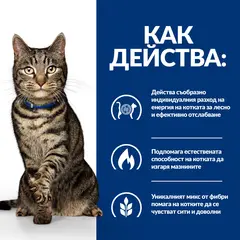 Hill's PRESCRIPTION DIET Metabolic - лечебна суха храна за котки с наднормено тегло, със сьомга