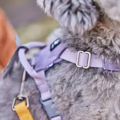 Hurtta Seeker Harness - Нагръдник за кучета, цвят лавандула
