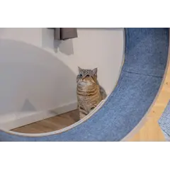 Kerbl Cat exercise wheel - Колело за фитнес за котки 90 см