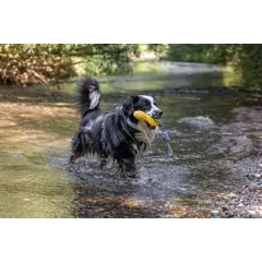Кербл Dog Toy Aqua - Играчка за куче осморка с въже, плаваща