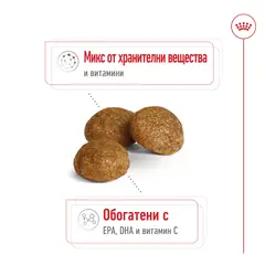 Royal Canin X-Small Adult 8+  Пълноценна суха храна за кучета от миниатюрни породи в напреднала възраст над 8 години, 1,5 кг