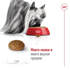 Royal Canin X-Small Adult 8+  Пълноценна суха храна за кучета от миниатюрни породи в напреднала възраст над 8 години, 1,5 кг