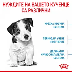 ROYAL CANIN MINI PUPPY - суха храна за подрастващи кучета 8 кг + подарък MINI PUPPY POUCH 12x85g