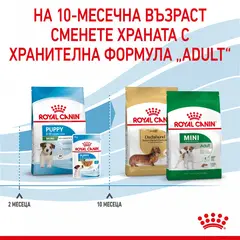 ROYAL CANIN MINI PUPPY - суха храна за подрастващи кучета 8 кг + подарък MINI PUPPY POUCH 12x85g
