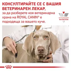Royal Canin Gastrointestinal Low Fat Dog - лечебна мокра храна за кучета при хиперлипидемия - 200 г