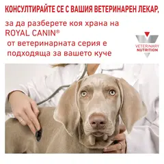 Royal Canin Hypoallergenic Dog  - лечебна мокра храна за кучета с хранителни алергиии - 200 г