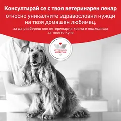Royal Canin Hypoallergenic Dog  - лечебна мокра храна за кучета с хранителни алергиии - 200 г