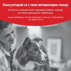 Royal Canin VHN Glycobalance Low Carbohydrate loaf - Диетична мокра храна за кучета за pегулиране нивата на кръвна захар (диабет) - консерва с пастет 410 г