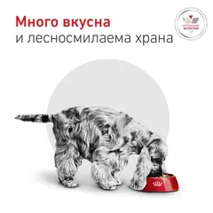 Royal Canin VHN Glycobalance Small Dog - Пълноценна диетична храна за кучета от дребни породи за pегулиране нивата на кръвна захар (диабет) - 1,5 кг