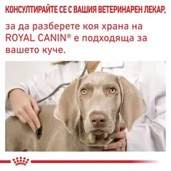Royal Canin Urinary S/O Dog - лечебна мокра храна за кучета при заболявания в долната част на уринарния тракт  - 410 г
