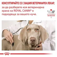 Royal Canin Hypoallergenic Dog  - лечебна мокра храна за кучета с хранителни алергиии - 400 г