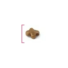 ROYAL CANIN KITTEN - суха храна за подрастващи котенца, 10 kg + ПОДАРЪК Kitten in gravy 12x85g