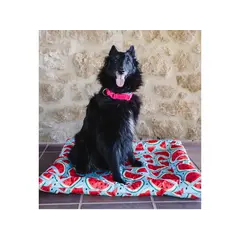 FreeDog Cooling Cushion WATERMELON - охлаждащо лего с мек борд