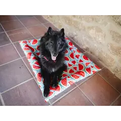FreeDog Cooling Cushion WATERMELON - охлаждащо лего с мек борд