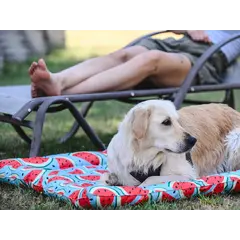 FreeDog Cooling Cushion WATERMELON - охлаждащо лего с мек борд