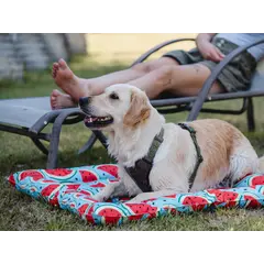 FreeDog Cooling Cushion WATERMELON - охлаждащо лего с мек борд