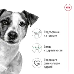 Royal Canin Mini Adult - суха храна за израснали кучета от малките породи, 8 кг + ПОДАРЪК MINI ADULT POUCH 12x85g