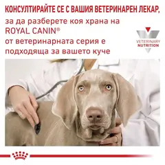 Royal Canin Renal Dog -  лечебна мокра храна за кучета с бъбречна недостатъчност - 410 г