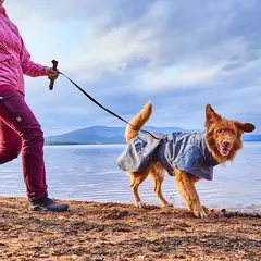 Hurtta Weekend Warrior Leash Eggplant - Повод за кучета, 180 см / 20 мм – цвят патладжан